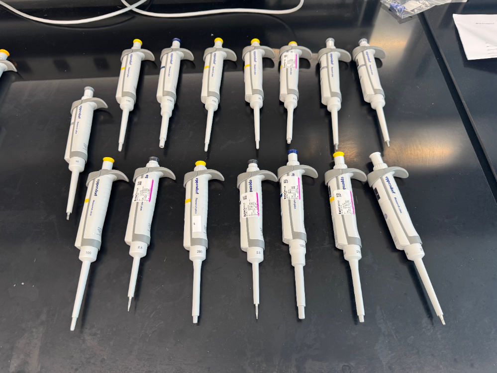 Image of Eppendorf Research Plus Single Channel Pipettes - Quantity 15